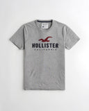 Hollister Applique Logo Graphic Tee - Naughty Panda Outlet