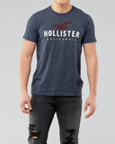 Hollister Applique Logo Graphic Tee - Naughty Panda Outlet