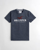 Hollister Applique Logo Graphic Tee - Naughty Panda Outlet