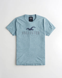 Hollister Applique Logo Graphic Tee - Naughty Panda Outlet