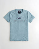 Hollister Applique Logo Graphic Tee - Naughty Panda Outlet