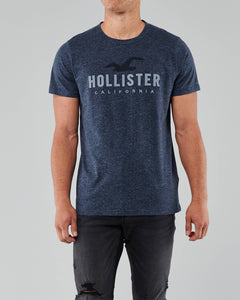 Hollister Applique Logo Graphic Tee - Naughty Panda Outlet