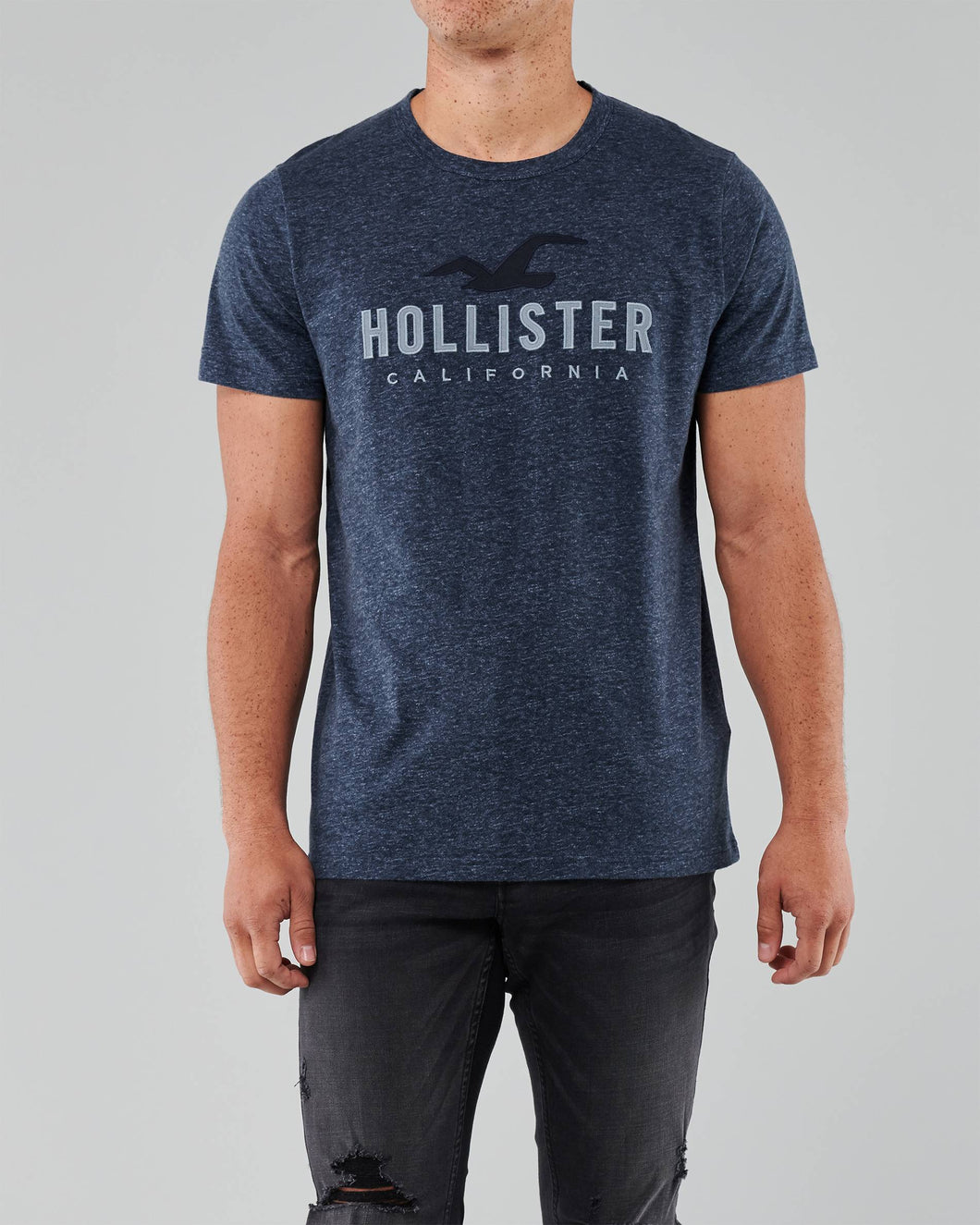 Hollister Applique Logo Graphic Tee - Naughty Panda Outlet