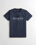 Hollister Applique Logo Graphic Tee - Naughty Panda Outlet
