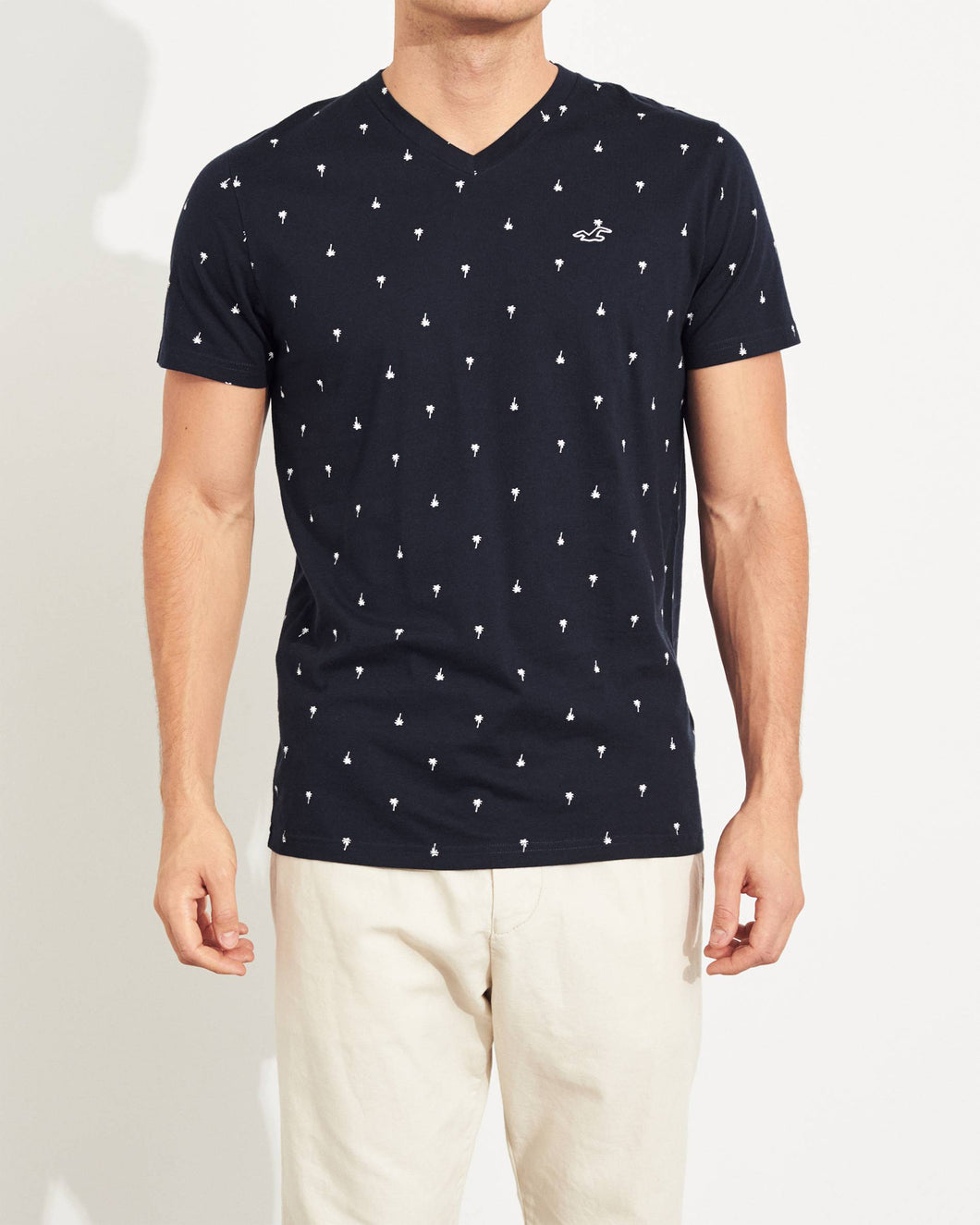 Hollister Must-Have V-Neck T-Shirt - Naughty Panda Outlet