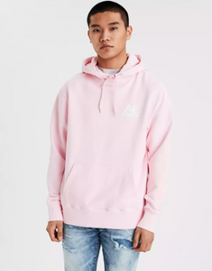 AE GARMENT-DYED GRAPHIC FLEECE HOODIE - Naughty Panda Outlet