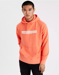 AE GARMENT-DYED GRAPHIC FLEECE HOODIE - Naughty Panda Outlet