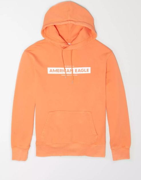 AE GARMENT-DYED GRAPHIC FLEECE HOODIE - Naughty Panda Outlet
