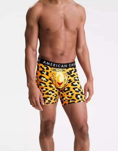 AE LEOPARD 6 CLASSIC BOXER BRIEF - Naughty Panda Outlet