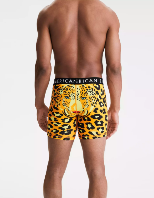 AE LEOPARD 6 CLASSIC BOXER BRIEF - Naughty Panda Outlet