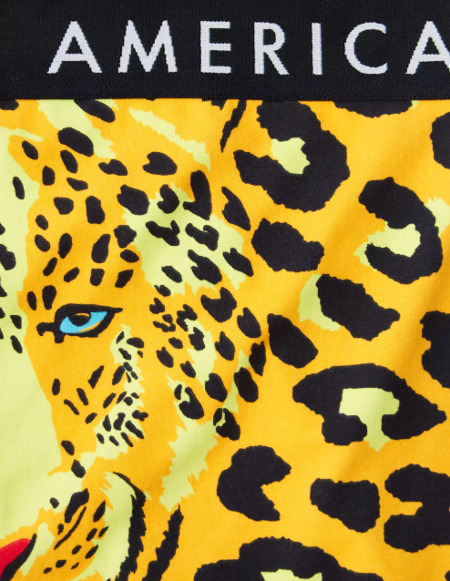 AE LEOPARD 6 CLASSIC BOXER BRIEF - Naughty Panda Outlet