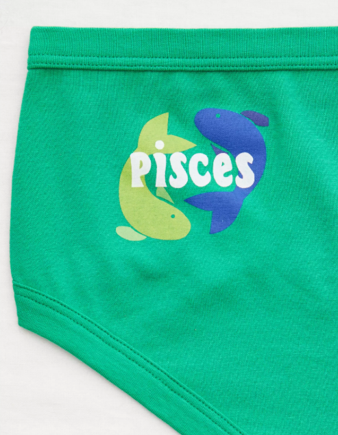 AE AERIE COTTON BOYBRIEF UNDERWEAR PISCES - Naughty Panda Outlet