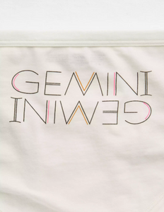 AE AERIE COTTON BOYBRIEF UNDERWEAR GEMINI - Naughty Panda Outlet